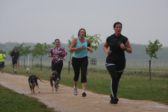Parkrunners and Emily running with two dogs